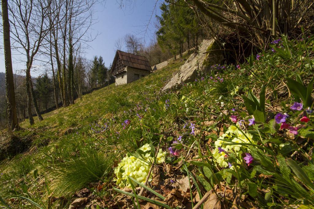 Villa Casa Delle Noci Grimacco Zimmer foto